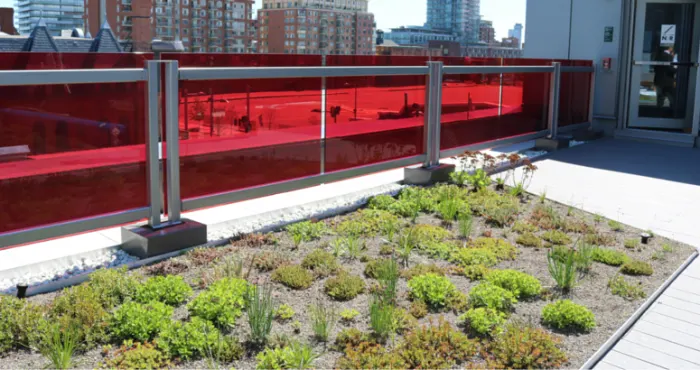 An oasis in the city at Cooper Koo Family YMCA