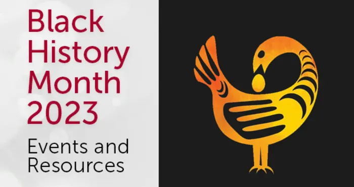 Holistic wellness in the spirit of Sankofa: Moving Forward, Guided by the Past