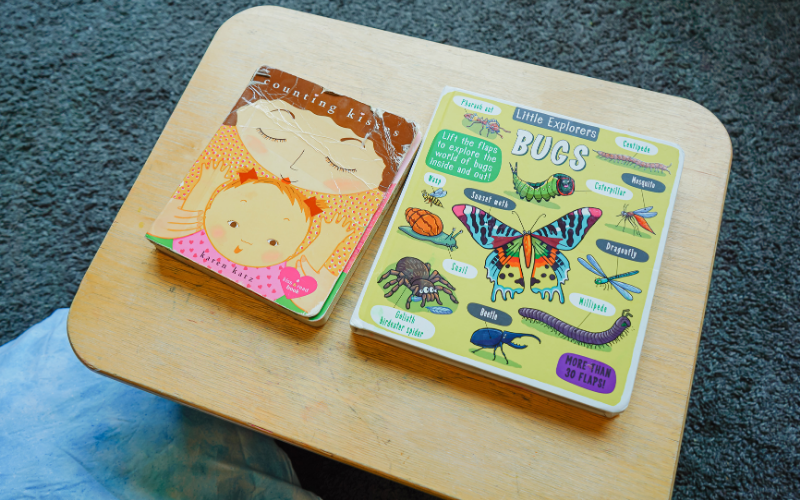 Two children's board books, Counting Kisses and Little Explorers Bugs, displayed side by side on a wooden table.