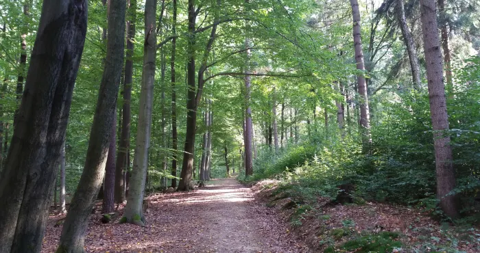 My 5 favourite trails in the city