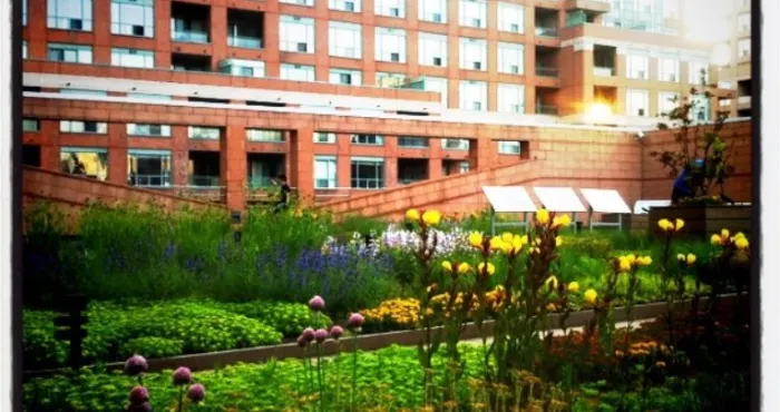 A Summer Awakening with Rooftop Yoga, Health Seminars and More!