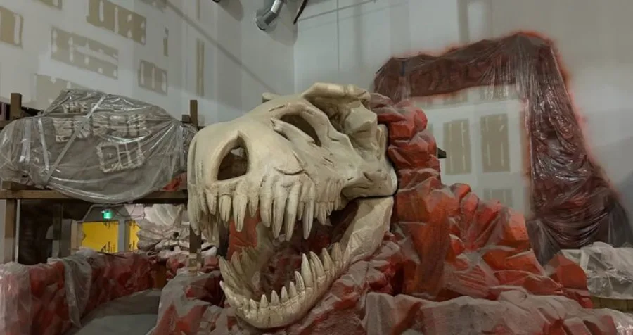 A large model dinosaur head inside the future Mississauga Y M C A space during renovations.