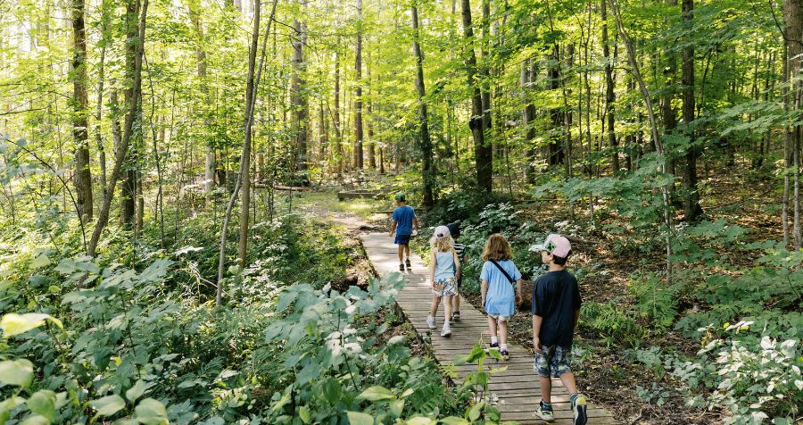 Four Y M C A campers walking through a forest.