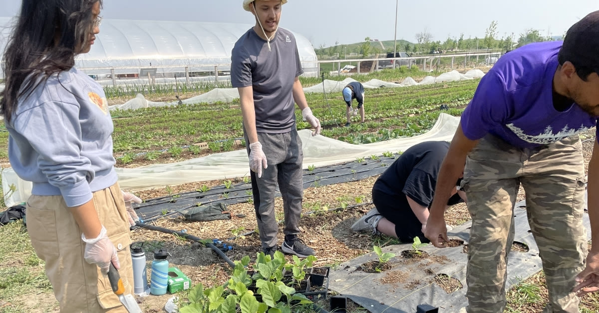 A group of youth gardening
