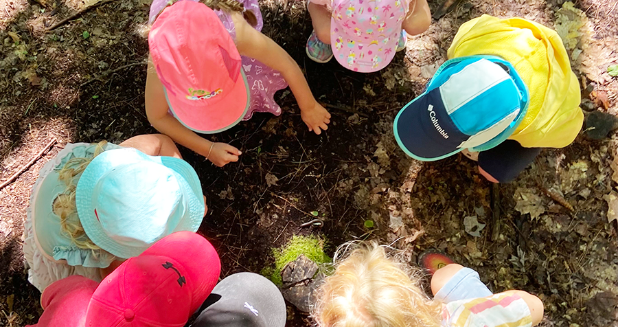 Young children, wearing vibrant summer hats, form a circle as they squat to examine moss, leaves, branches, and soil on the ground.