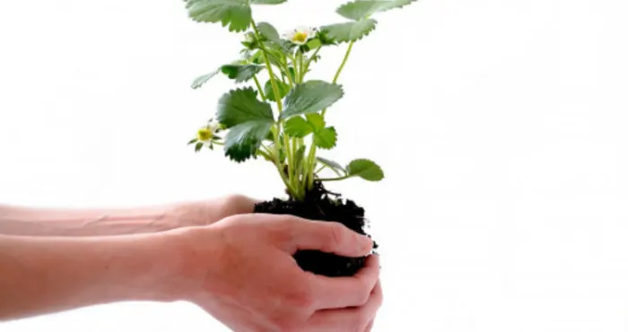 3 ways to grow your emotional intelligence and be happier