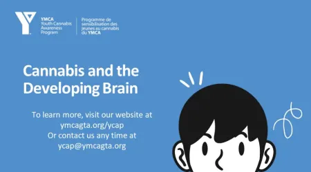 Image. Cannabis & The Developing Brain – Available for ages 12+