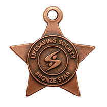 Bronze Star LifeGuard Badge