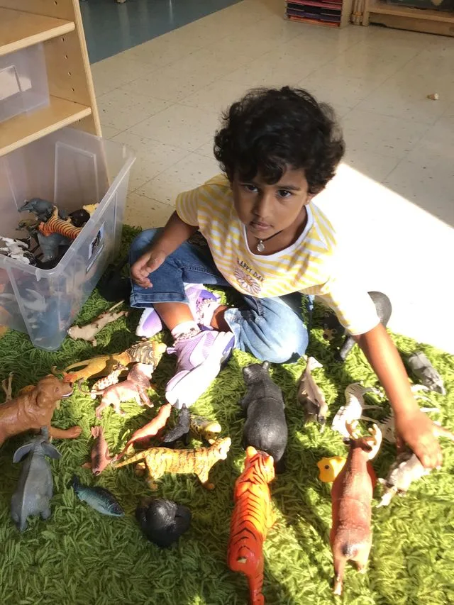 A young child sits on a rug and plays with plastic animals