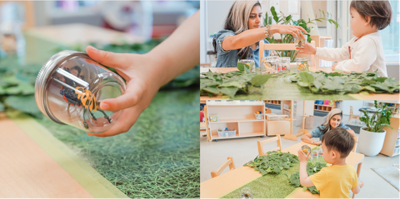 An insect programming setup at North York YMCA Child Care centre with a faux grass runner, toy insects and two piles of green leaves on a large wooden table. A YMCA educator and two children interact with the programming setup. One child holds a toy spider that's in a glass jar.